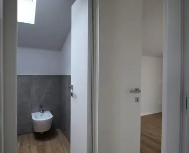 Disimpegno e collegamenti interni